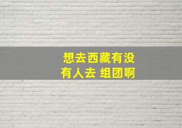 想去西藏有没有人去 组团啊